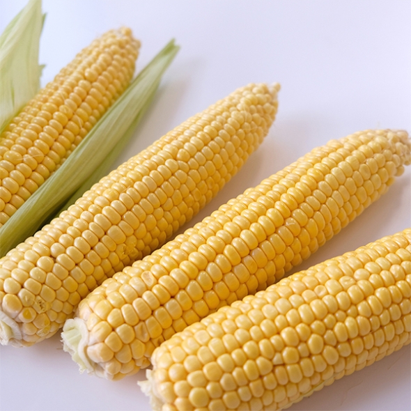 [신한카드 할인] 냉동 강원도 초당옥수수(푸)