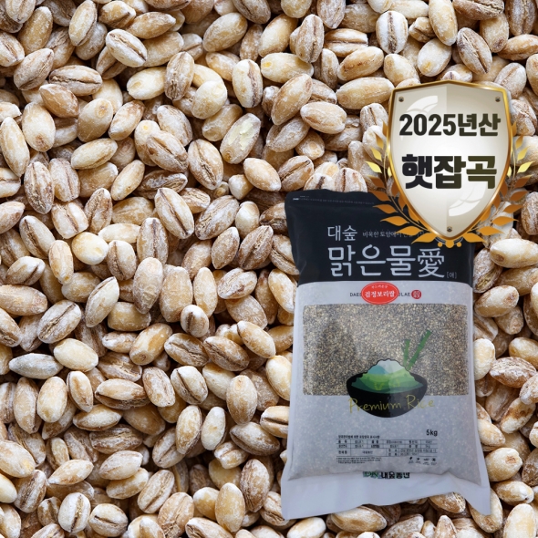 [대숲맑은물애] 25년산 흑맥 흑보리 검정보리쌀 1kg~5kg