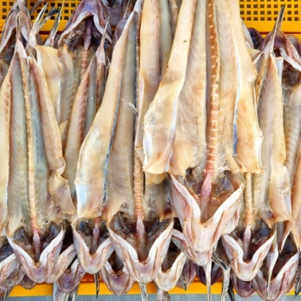 홍지수산 남해안 반건조 생선  양태3-4마리 