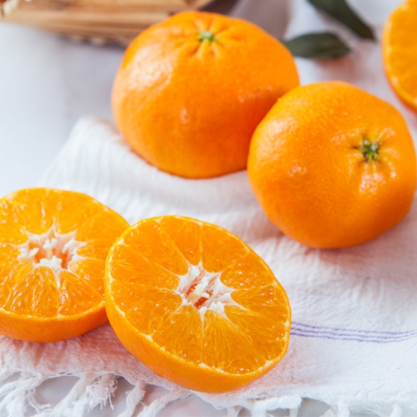 [농협] 한아름드린 천혜향세트 3kg(특13과내)  1박스/2박스