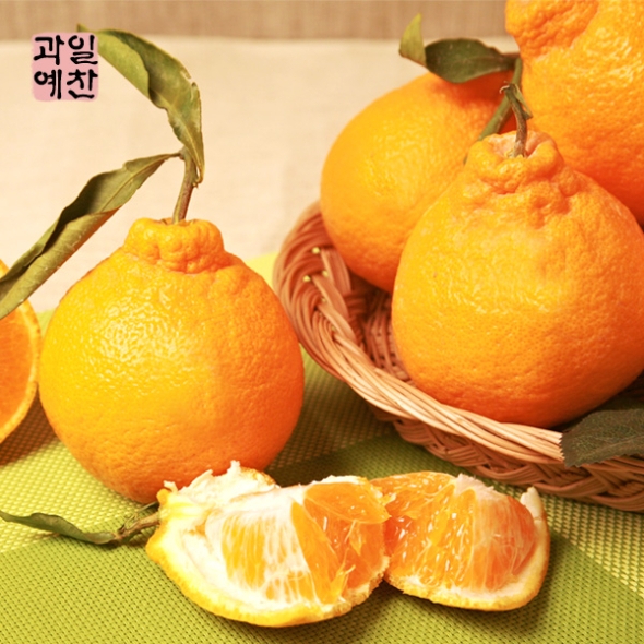 [제주향기] 탐나는 한라봉 3kg(10-12과내)  1박스/2박스