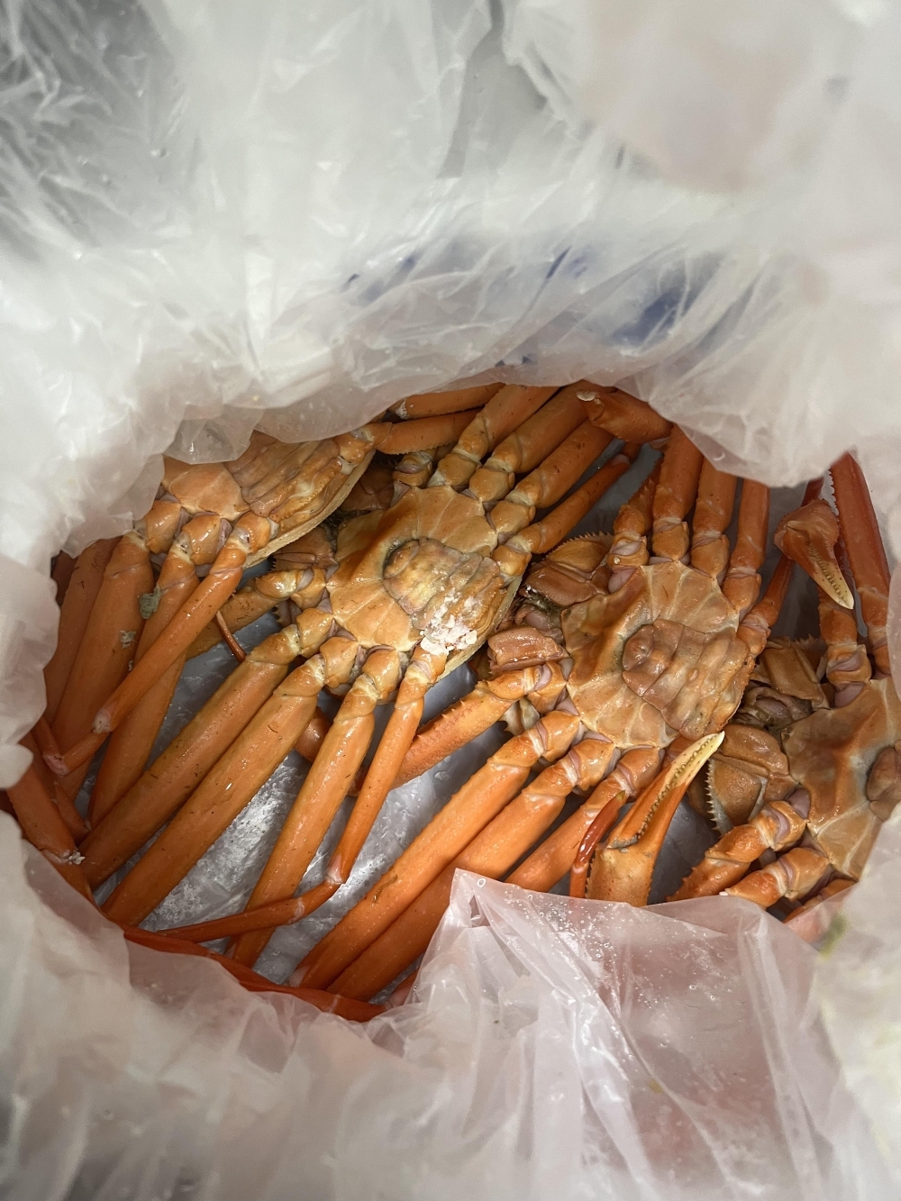 [제철!] 산지직송 구룡포 연지홍게  홍게제철  실속 가성비 3kg (10-12미)