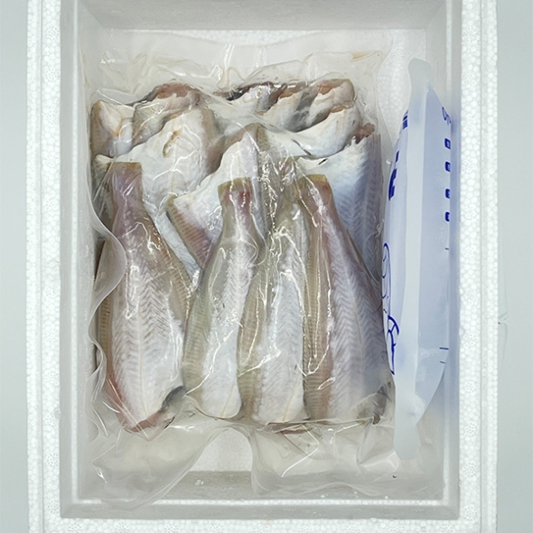 동해안 물가자미(최)