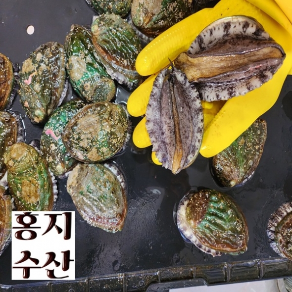 홍지수산 24-27미  소사이즈 활전복 산소포장 1kg 50여가지 합배송