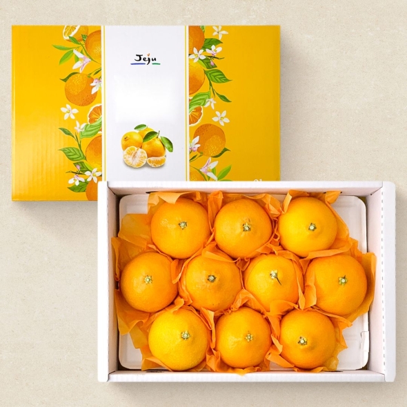  [신한카드 할인] 새콤달콤 제주 만감류 레드향 천혜향 한라봉 프리미엄 선물세트