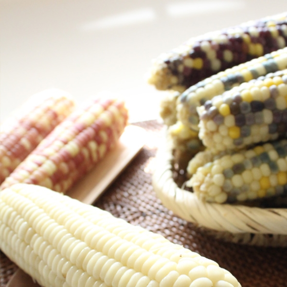 [자연속애] 중국산 냉동 찐 홍찰옥수수 10개/15개/20개/25개/30개(중12-14cm내외)