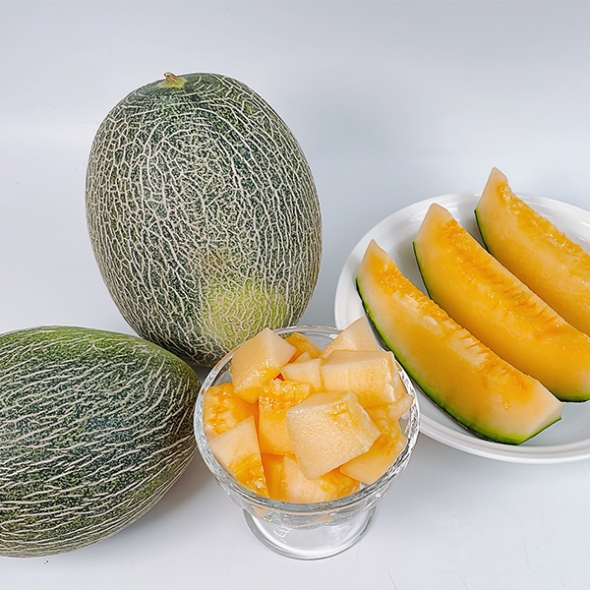 [오커최고] 진한 하미과 메론 주황빛 멜론 2kg 5kg