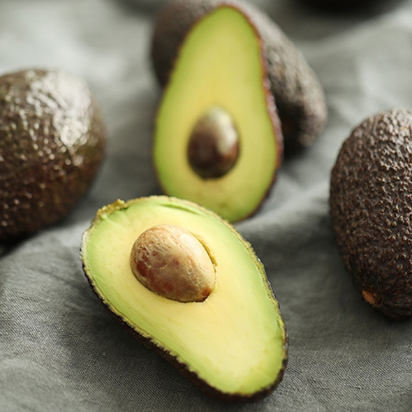  [신한카드 할인] [흙이음] 뉴질랜드 아보카도 5과 / 10과 / 20과 (개당 170g 내외)