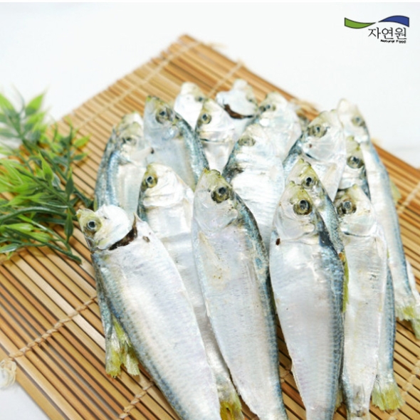 [자연원] 국내산 완도 디포리(밴댕이) 1.5kg(특/박스)