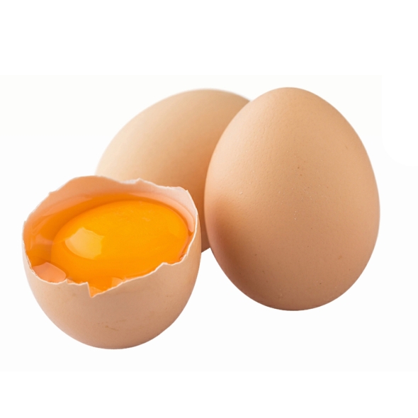 [특별할인] [HACCP] 힘내란 신선 대란(계란) 15개입 / 무항생제 왕란(계란) 15개입