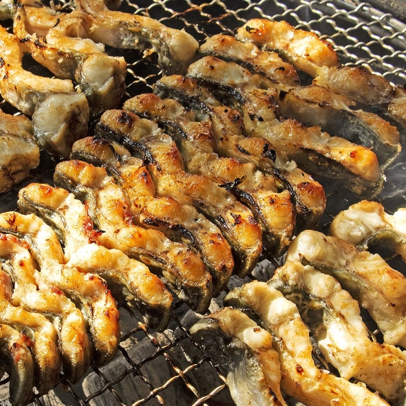[푸토리] 국내산 고창 풍천민물장어 손질후 500g / 600g / 700g (1-3미)