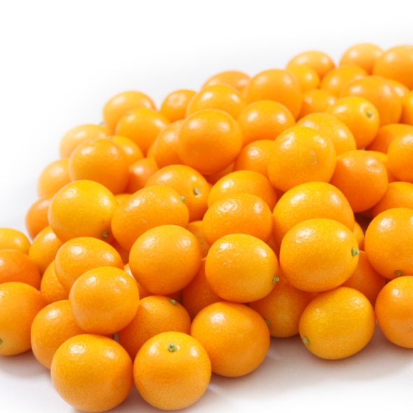 [푸토리] 향기좋은 금귤_낑깡 2kg(2번과)