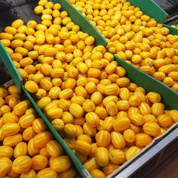  국내산 -가정용 성주참외 중과 5kg (15-22과내외)- [산지]