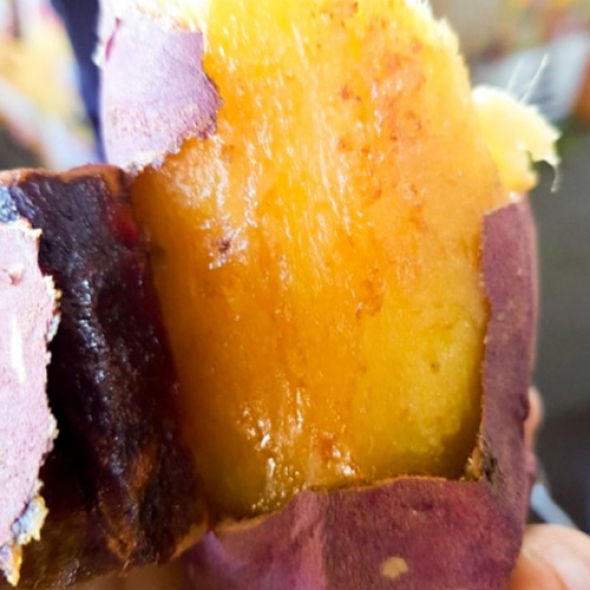 [베니하루카] 꿀 고구마 [2kg-4kg] [한입/왕/특상]