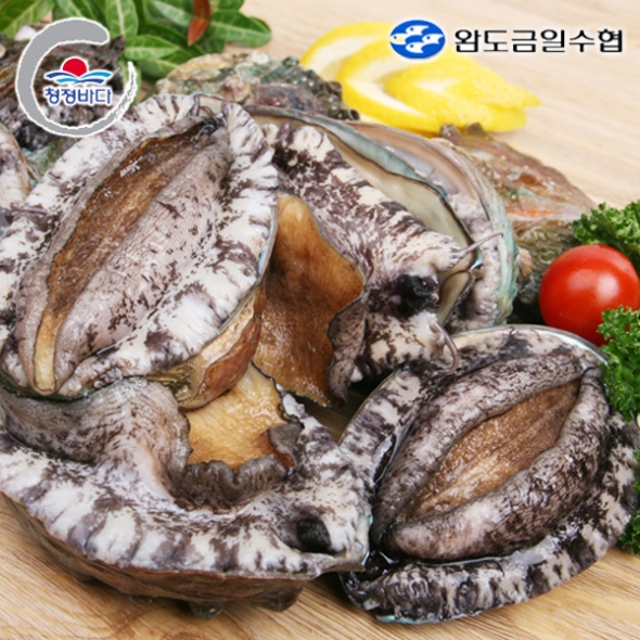 [완도금일수협] 활 참전복 (대) 1kg(10-11미) / 1.5kg(15-16미) / 2kg(20-22미)