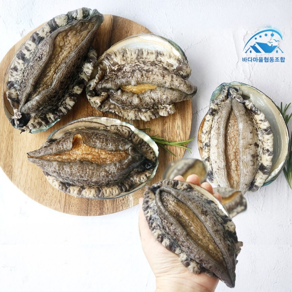 ★두툼한 바다마을 완도 활전복 중량별/크기별 골라담기 ★