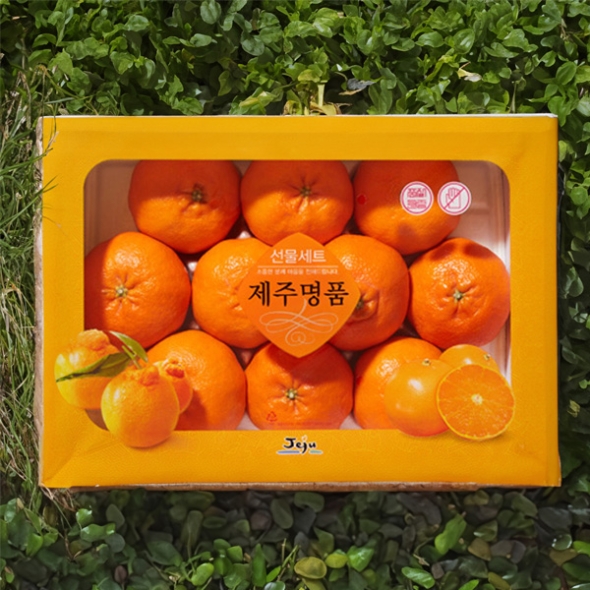 [농협] 한아름드린 천혜향세트 3kg(특10과내)  1박스/2박스