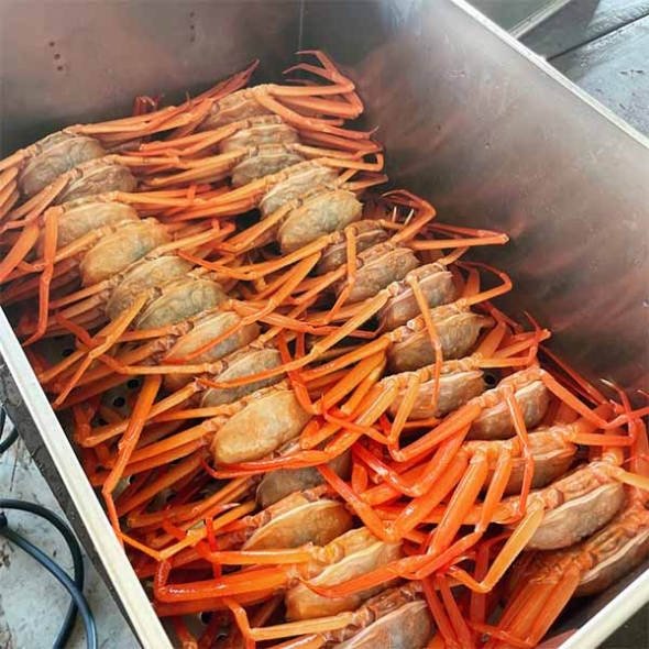 [제휴A]자숙홍게(최)