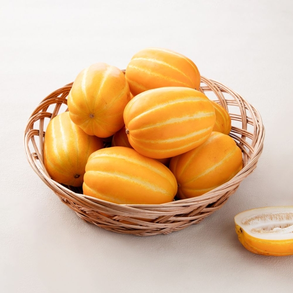 [백억] 과즙가득 수분가득 가정용 성주참외 1kg/2kg/3kg/5kg