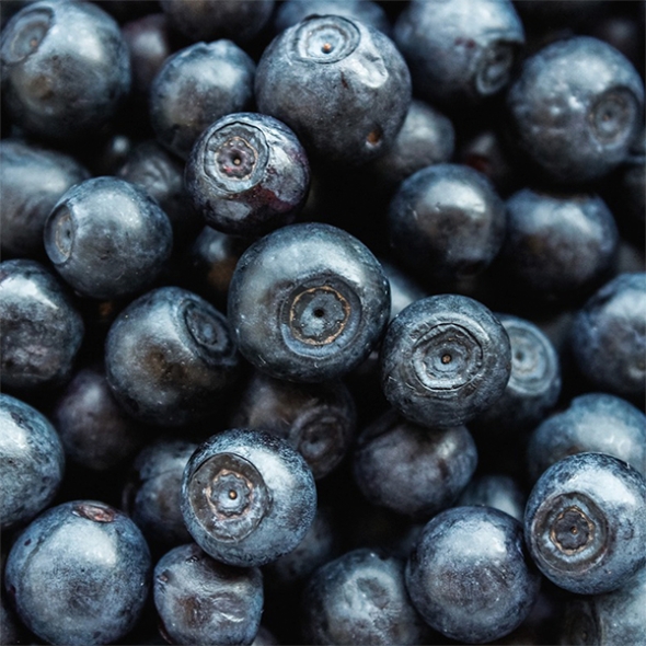 [보름데이!] 프리미엄 생 블루베리(푸)