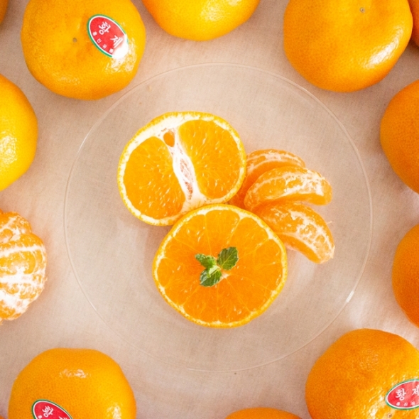 [오커브팜] 제주 비가림 감귤 일반포장