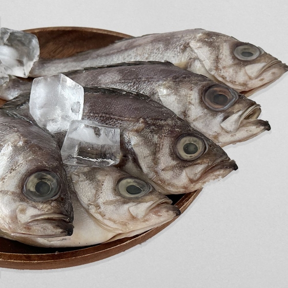 삼천포 용궁수산시장 반건조 생선 자반세트