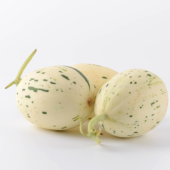 [오커최고] 백자 메론 달콤 멜론 2kg 4kg