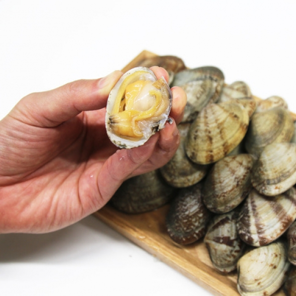 [신한카드 할인]국내산 당일조업 신선한 자연산 활바지락 800g 바지락살 200g 추천