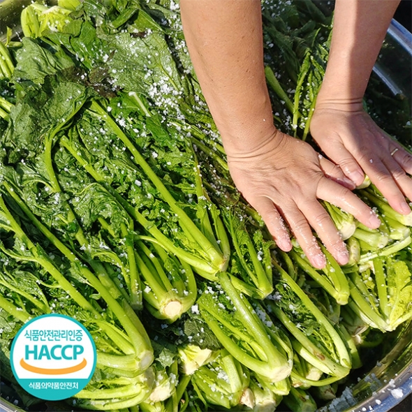 쌉쌀한맛이 일품인 돌산갓김치(푸)