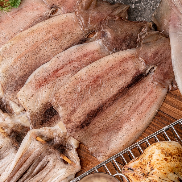 [마산어시장] 원양산 반건조오징어 5미/10미 (600g-1.2kg 내외) 