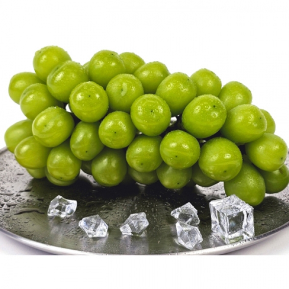 [보름데이] 망고향 고당도샤인머스켓 1kg/2kg/4kg 안전포장