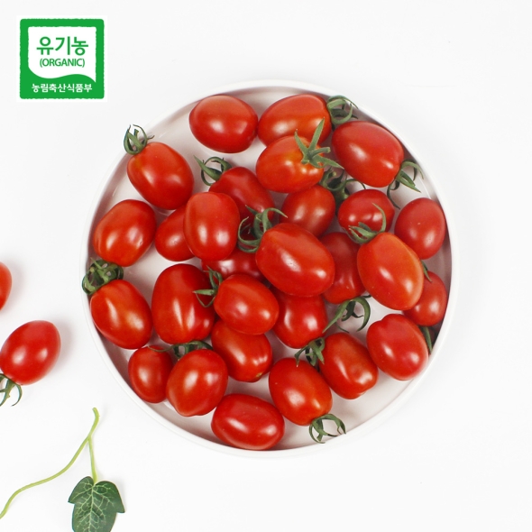 [26년산] 홍성 엄마농부의 유기농 대추방울토마토 1kg (무선별) 당일수확 방울토마토 토마토