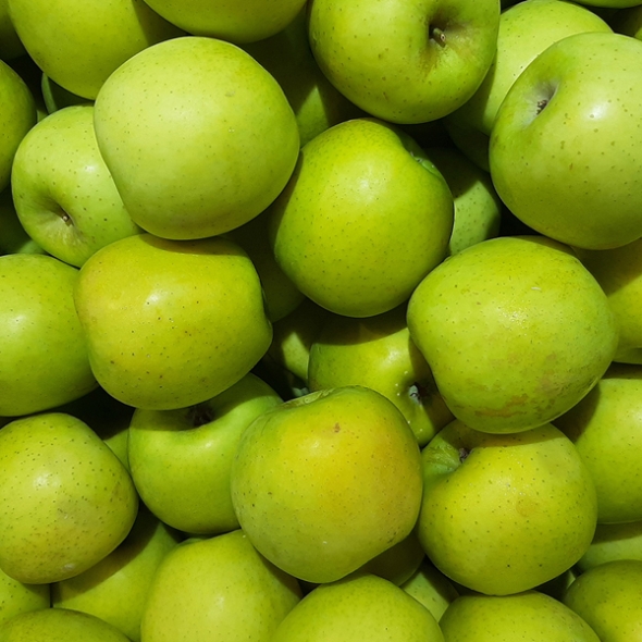 [산지직송] 경북 새콤달콤 아오리(썸머킹) 사과 [1kg-4kg]