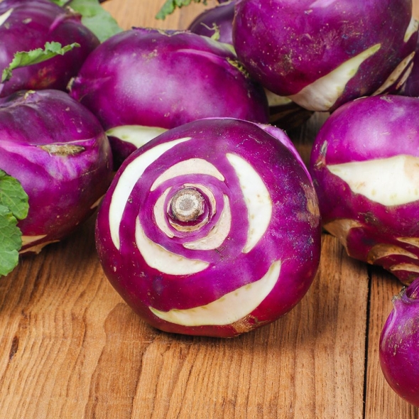 [백억] 아삭 달큰 제주 햇 콜라비