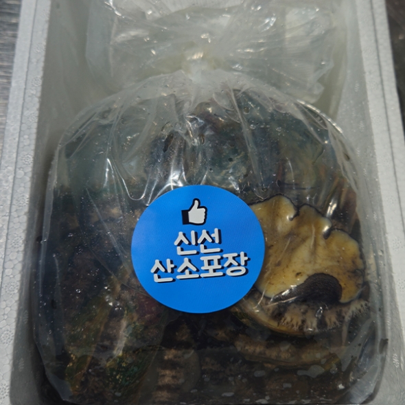 [보름데이] 자연이 선사하는 풍부한 영양  완도산 활 전복