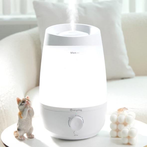 [Everyving] 에브리빙 무드등 가습기 