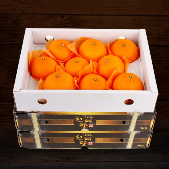 [제주향기] 탐나는 천혜향 3kg(10-12과내)  1박스/2박스