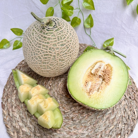 머스크 메론 싱싱하고 달달