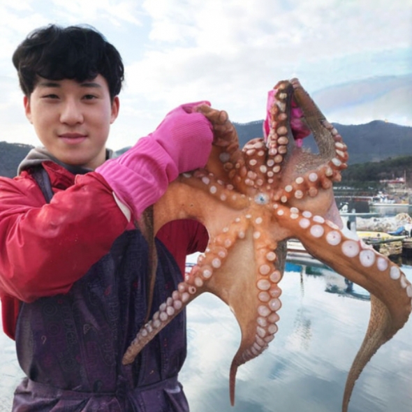 [力] 산지직송 통영 자연산 돌문어 700g 1kg 제수용