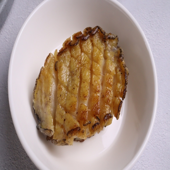[진도전복] 산지직송 진도 활전복 1kg(손질도구 포함)