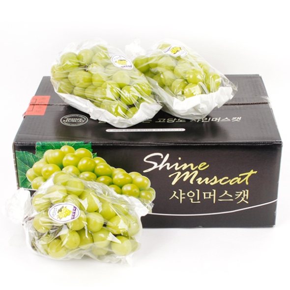 [과일예찬] 탐나는 김천 샤인머스캣세트 2kg(특3수)