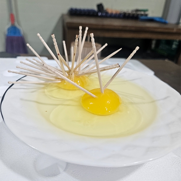 [신한카드 할인] 자연방사  홍삼란  유정란