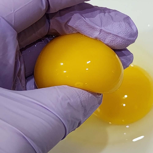 [만원의 행복] [유정란] 자연방사  난각 1번  유정란 /동물복지  난각  2번 (20구/40구)