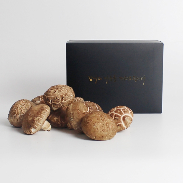 예산청년농부의 무농약 생표고버섯 선물세트 1kg / 2kg 직접재배 무농약표고버섯