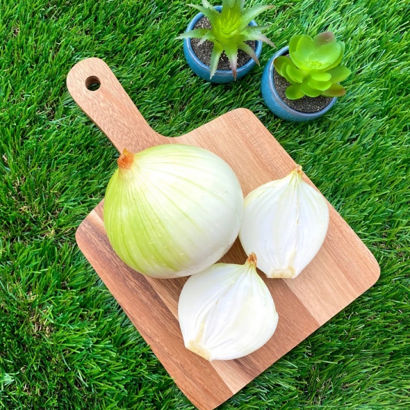 [부엌애] 25년 햇양파 부안 해풍 특상품 양파 2.5kg~10kg