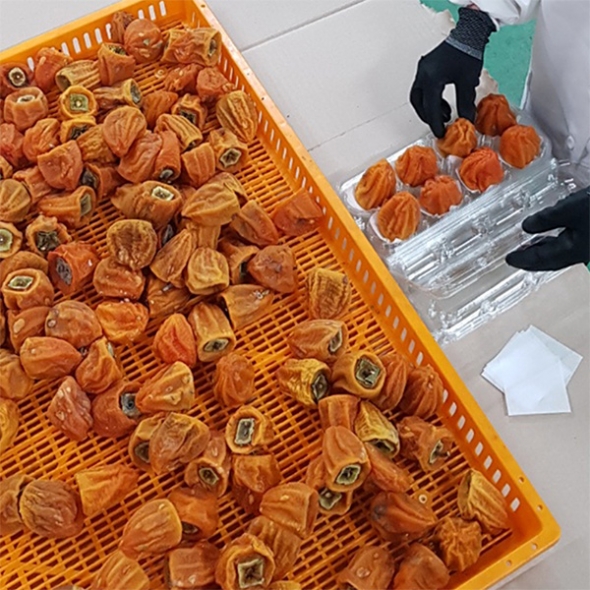 [선물세트]  프리미엄 곶감호두말이 선물세트(푸)