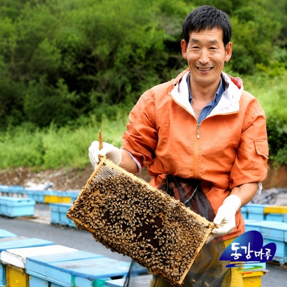 [영월농협] 동강마루 꿀을담다 선물세트(아까시꽃꿀 500gx3통)
