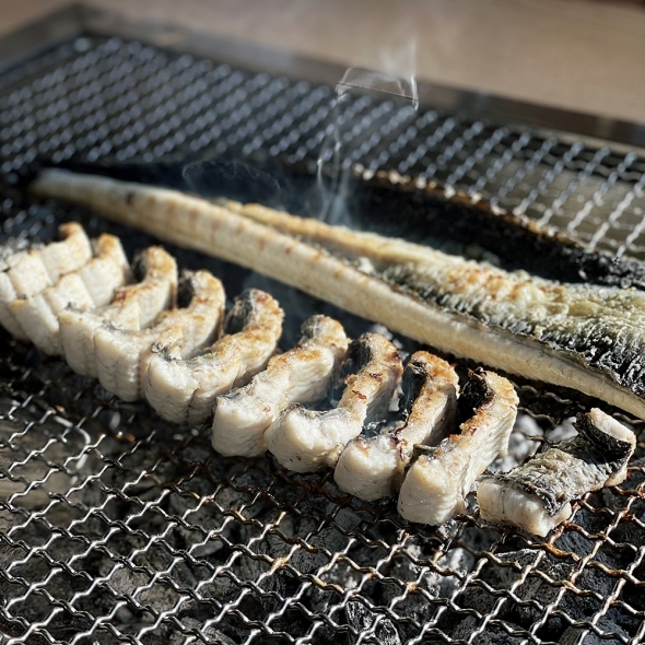 [오커브팜] 풍천장어 100% 품질보증 기운센 민물장어 1KG (손질전)