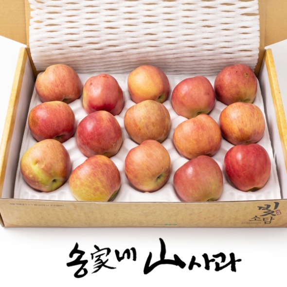 [송가네산사과] 실속 못난이 사과 4.5kg (중소과 19~25과내/대과 13~18과내)