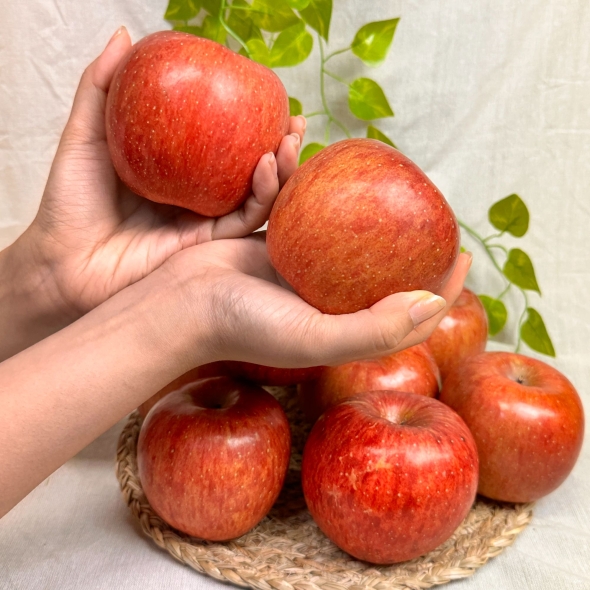 아삭아삭 달콤달콤  명품 부사 사과